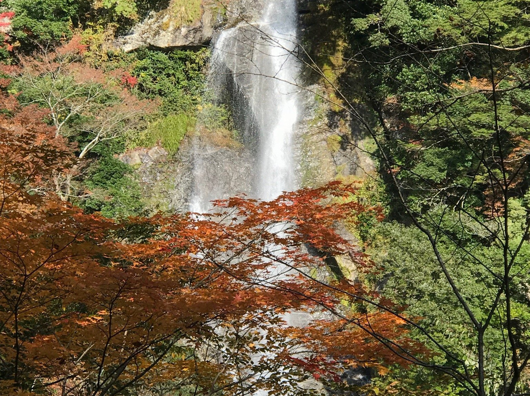 Sendantodoro Falls-八代市必去景点