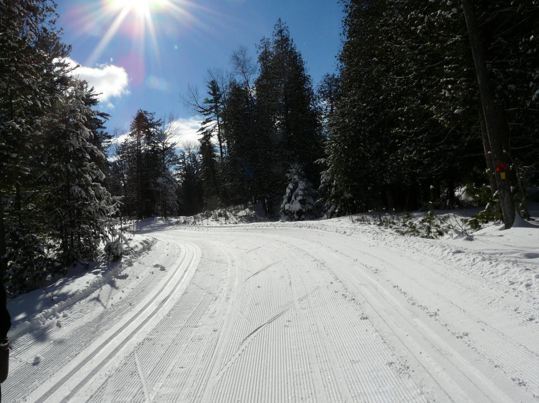 Kawartha Nordic Ski Club景点图片