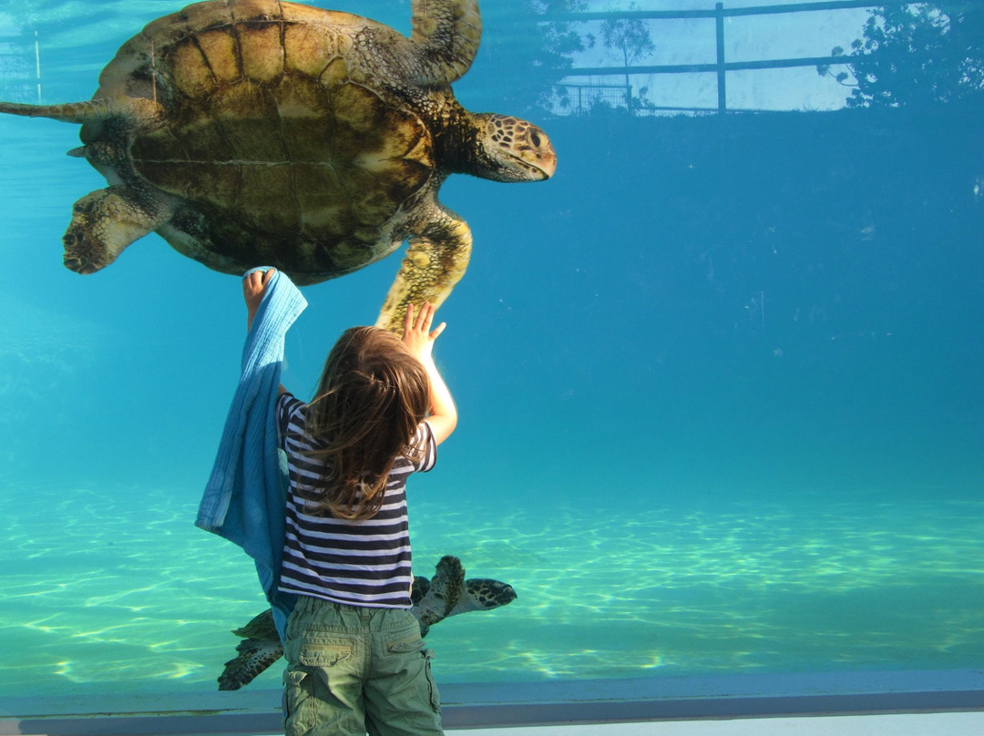 Aquarium des Lagons Nouvelle Caledonie景点图片