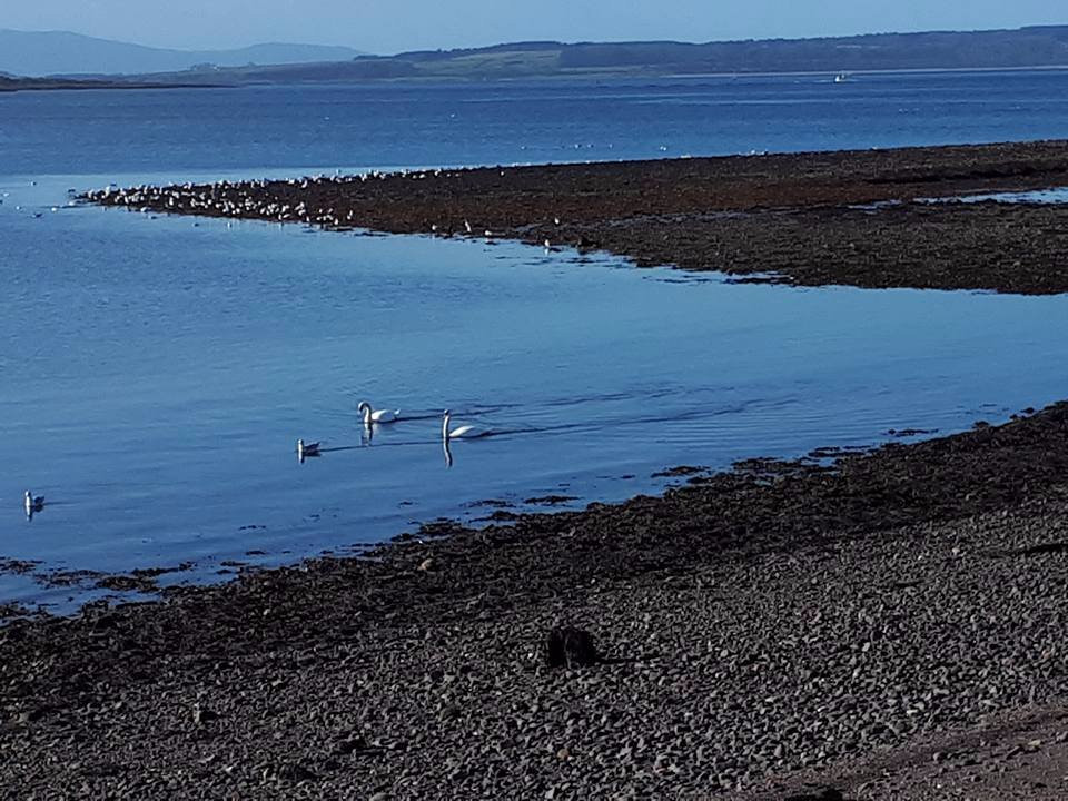 Largs Sea Front景点图片