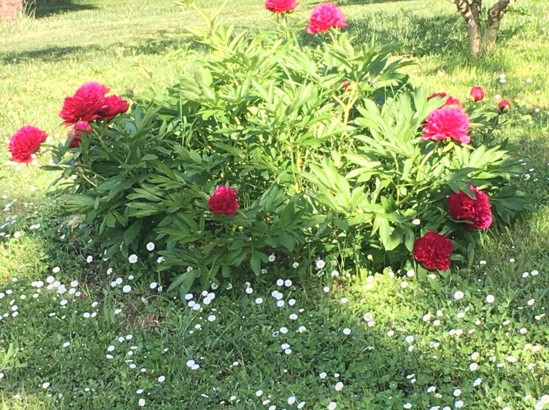 Ricca酒店住宿-Casa Silvana