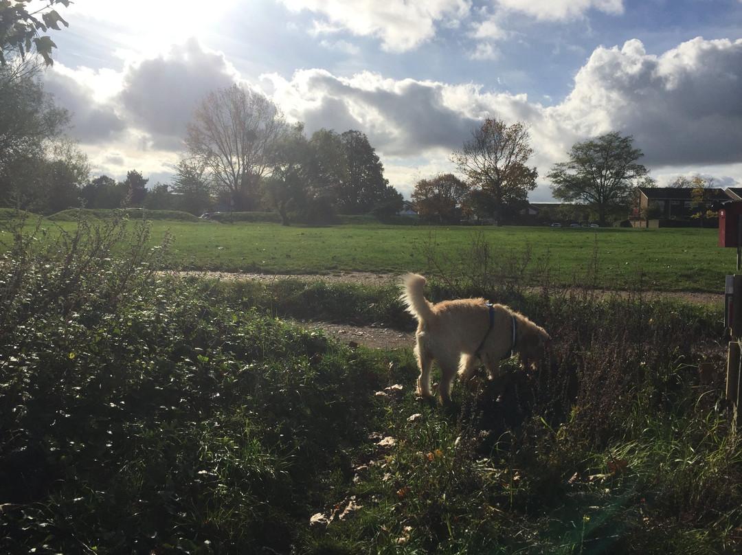 Hurst Park Open Space景点图片