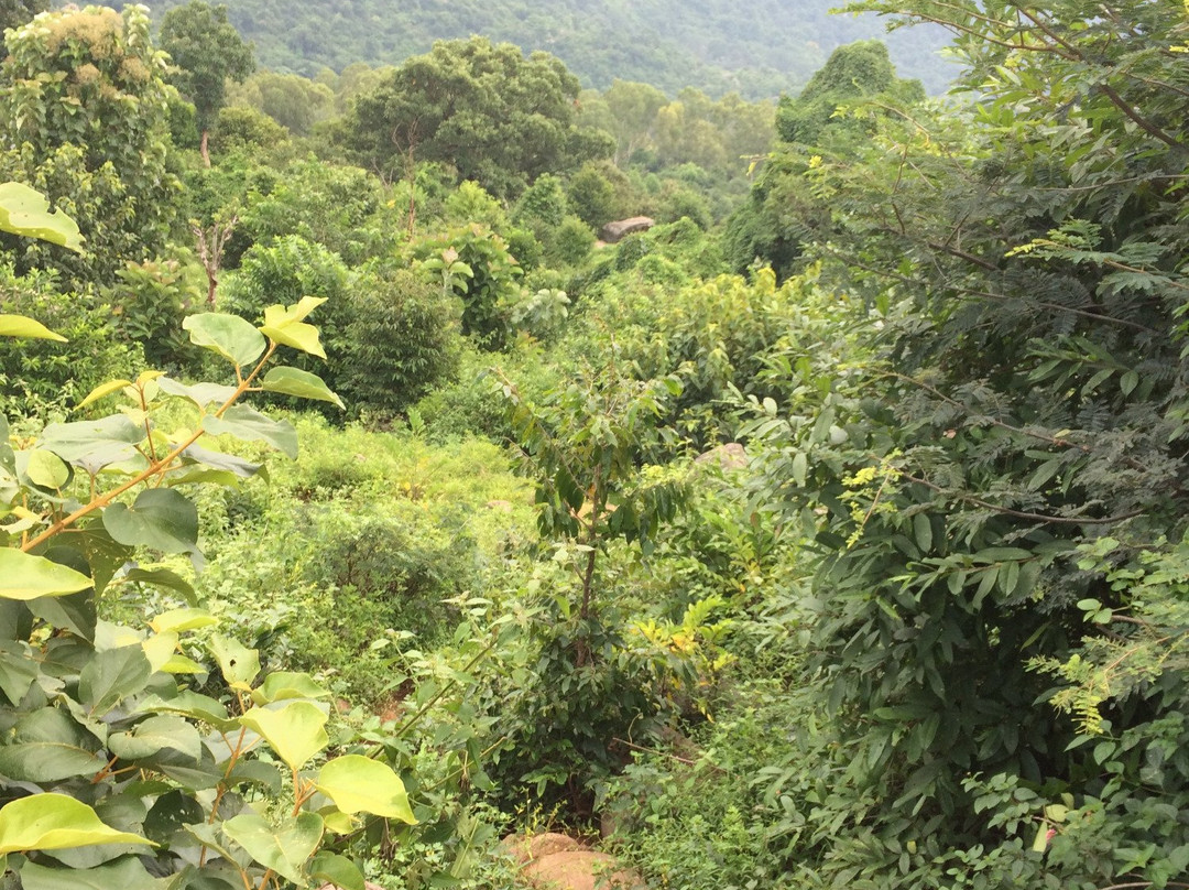 Jalagamparai Falls景点图片