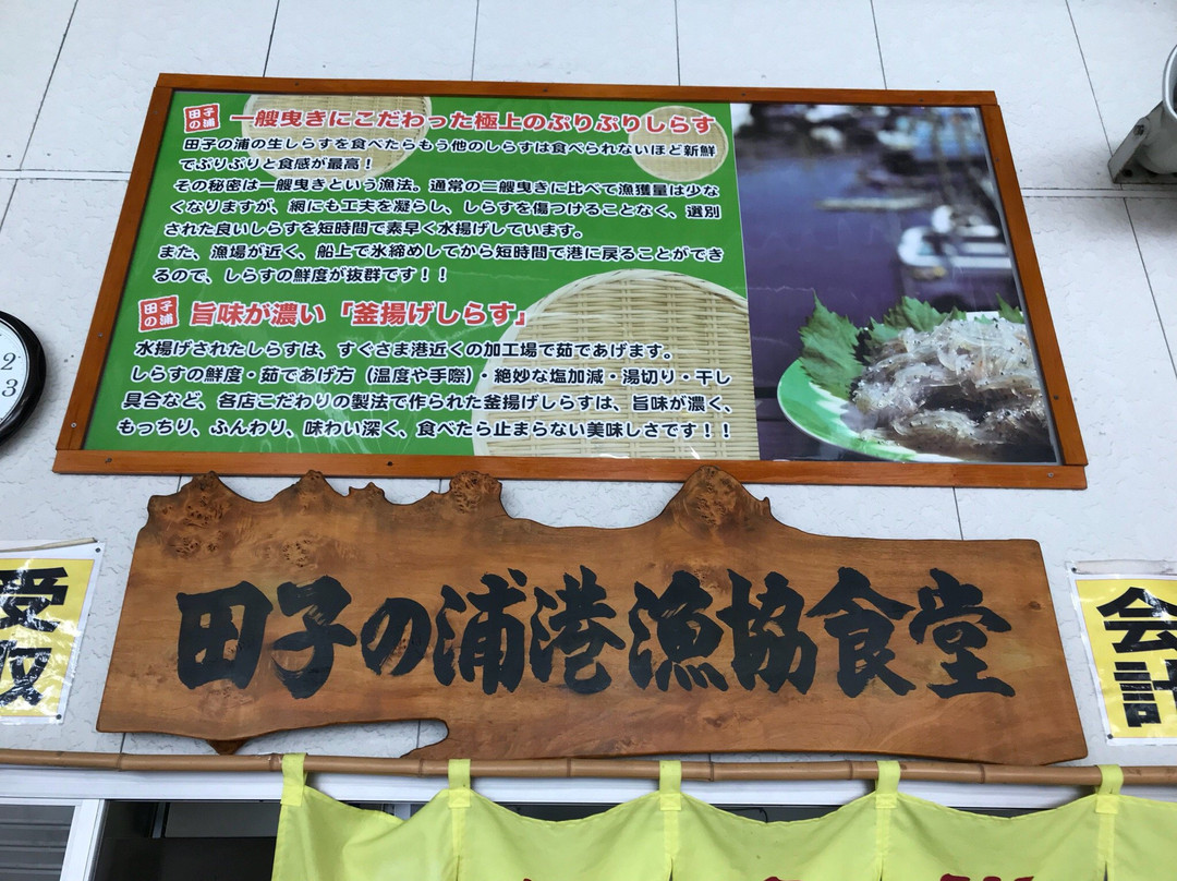 Tagonoura Port景点图片
