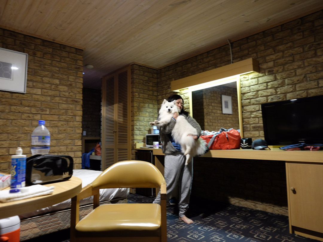 Motel Flinders主图