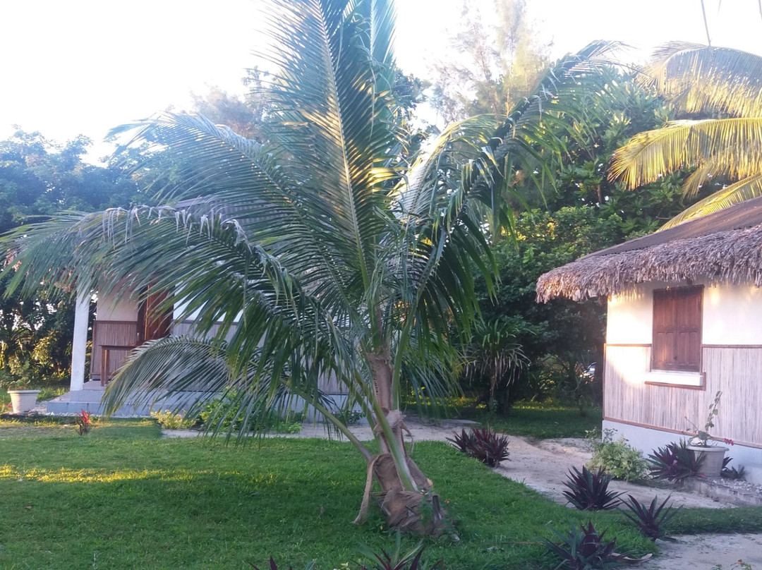Mahambo旅游攻略图片