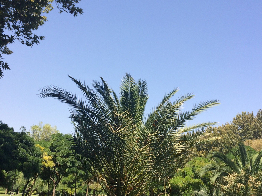 Laleh Park-德黑兰必去景点