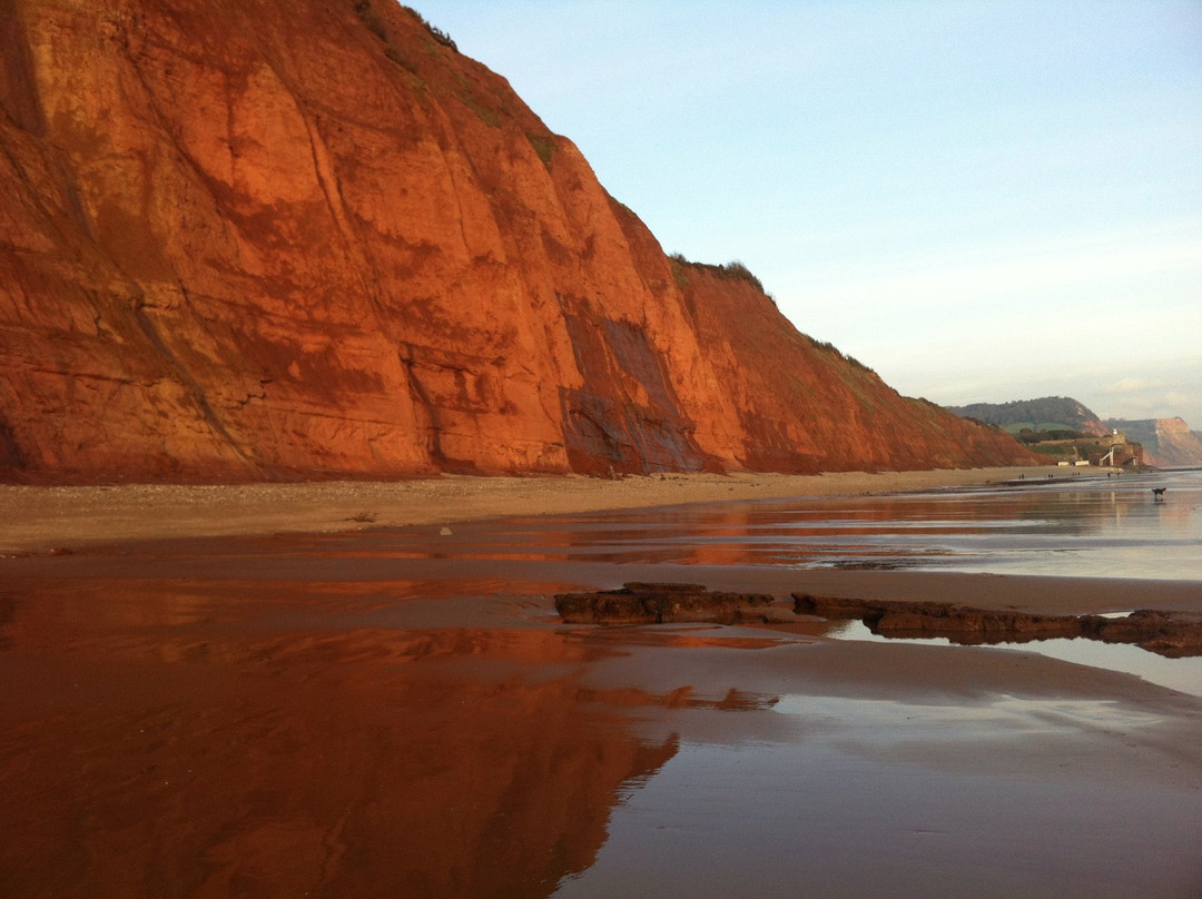 Bike Guide Devon-Sidbury必去景点