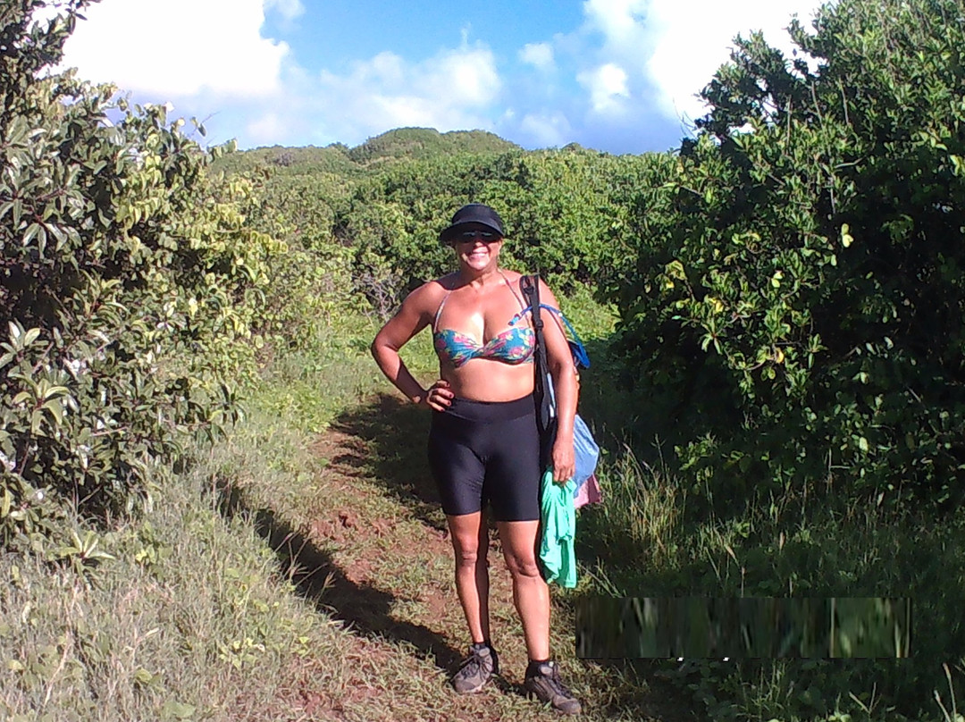 Enseada da Caieira-费尔南多-迪诺罗尼亚群岛必去景点