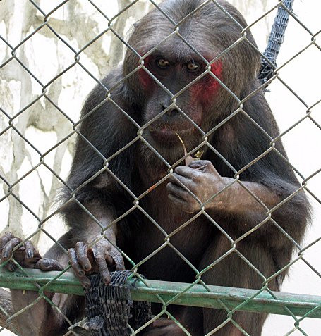 Zoologico de ciego de avila景点图片
