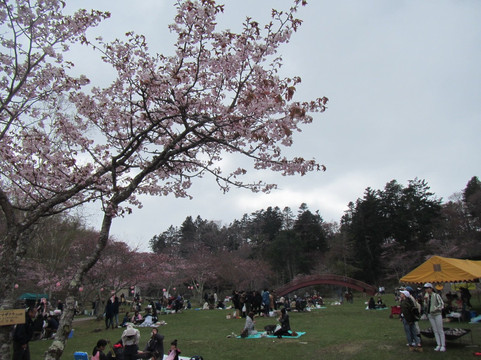 Nenohi Park-厚岸町必去景点