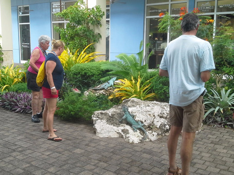 Amvivo-乔治城必去景点