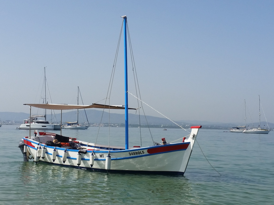 Ria Formosa Boat Tours - Algarve Day Trips景点图片