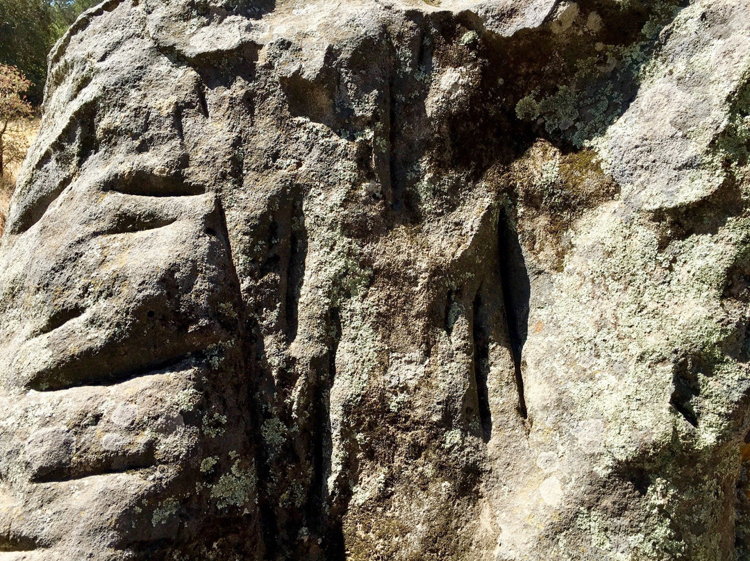 Maidu Museum & Historic Site-罗斯维尔必去景点