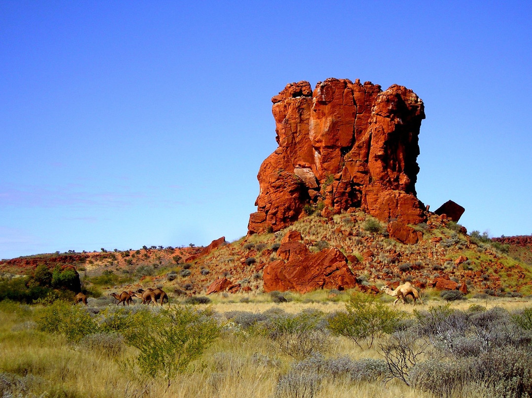 Telfer旅游攻略图片