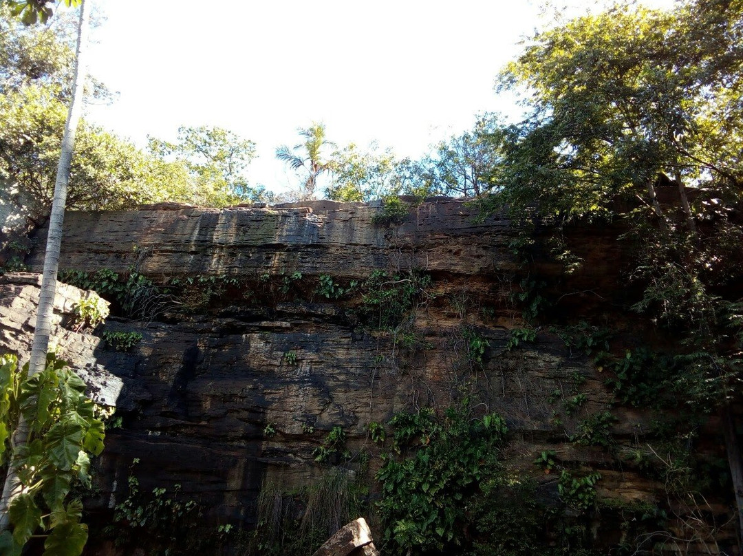 Henriqueta Fortes de Cerqueira Environmental Park景点图片