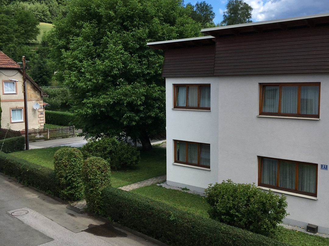 Kaiserhof Pension主图