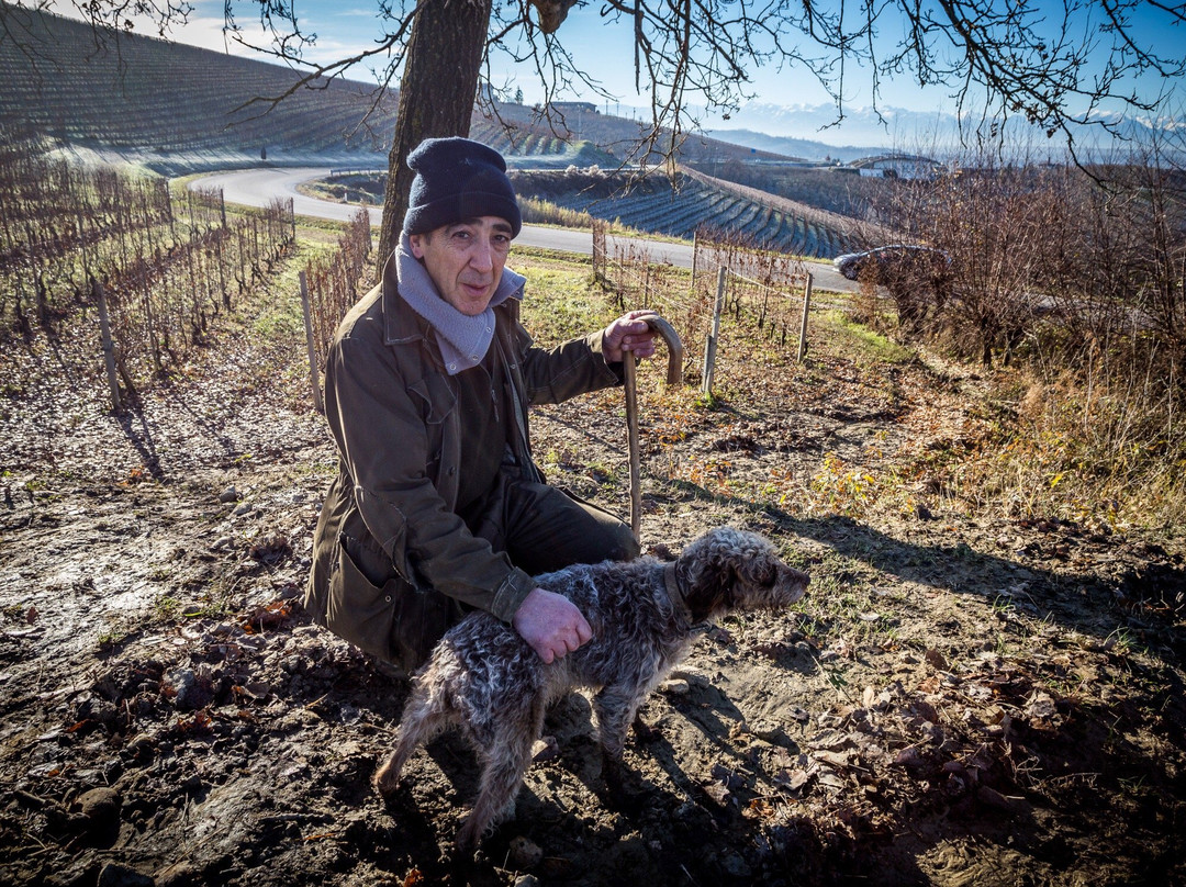 Langaround - Piedmont Wine Tours-阿尔巴必去景点