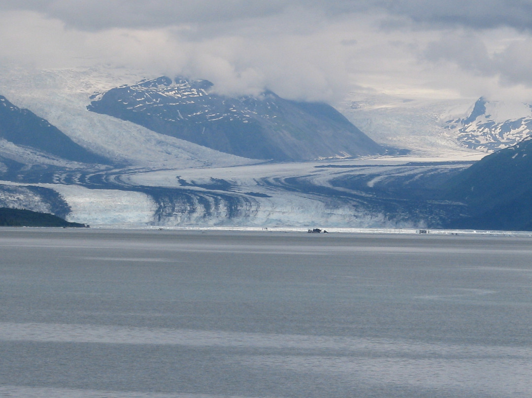 Phillips Cruises & Tours, LLC-惠提尔必去景点