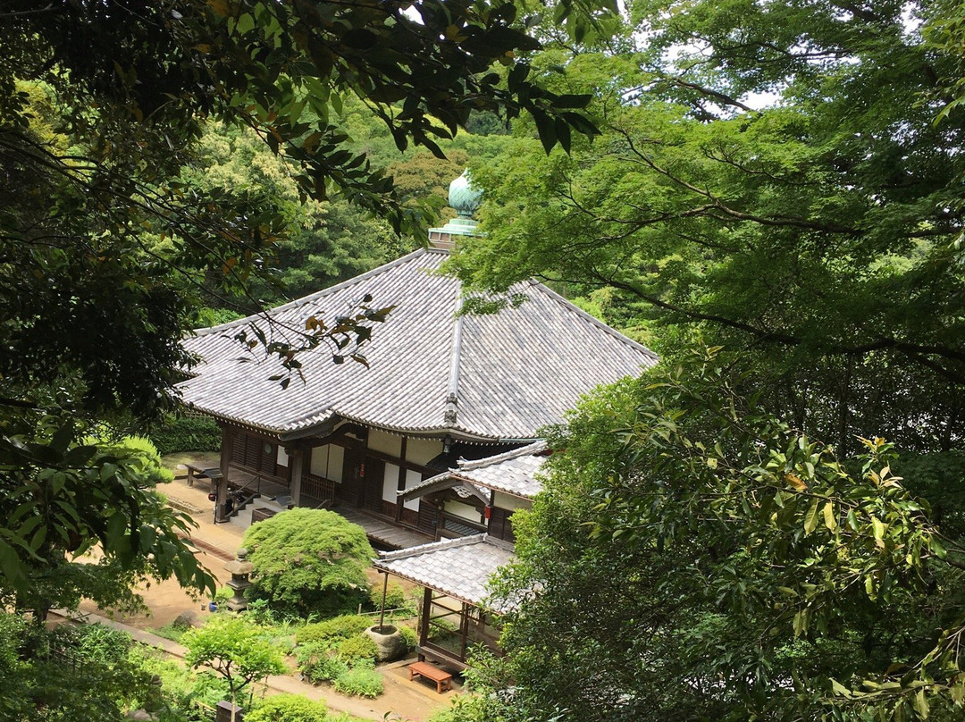 鹰取山-神奈川县必去景点