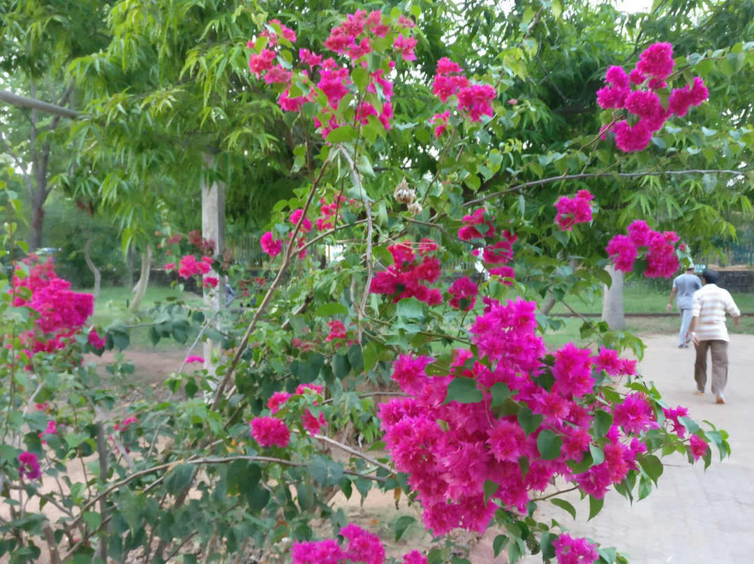 Kadri Hill Park-芒加罗必去景点