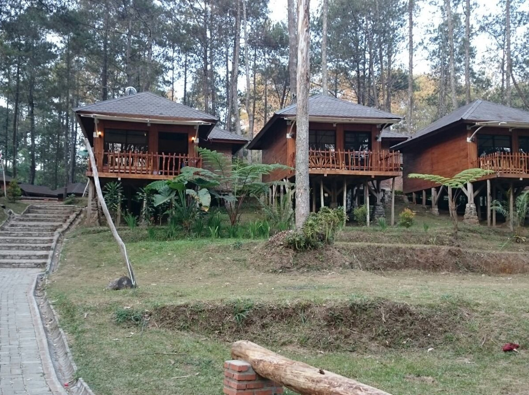Grafika Cikole Outbound Area景点图片