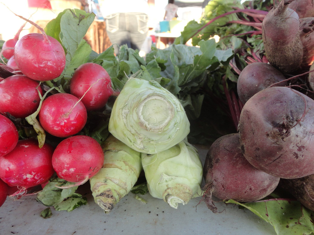 Brevard County Farmer's Market景点图片