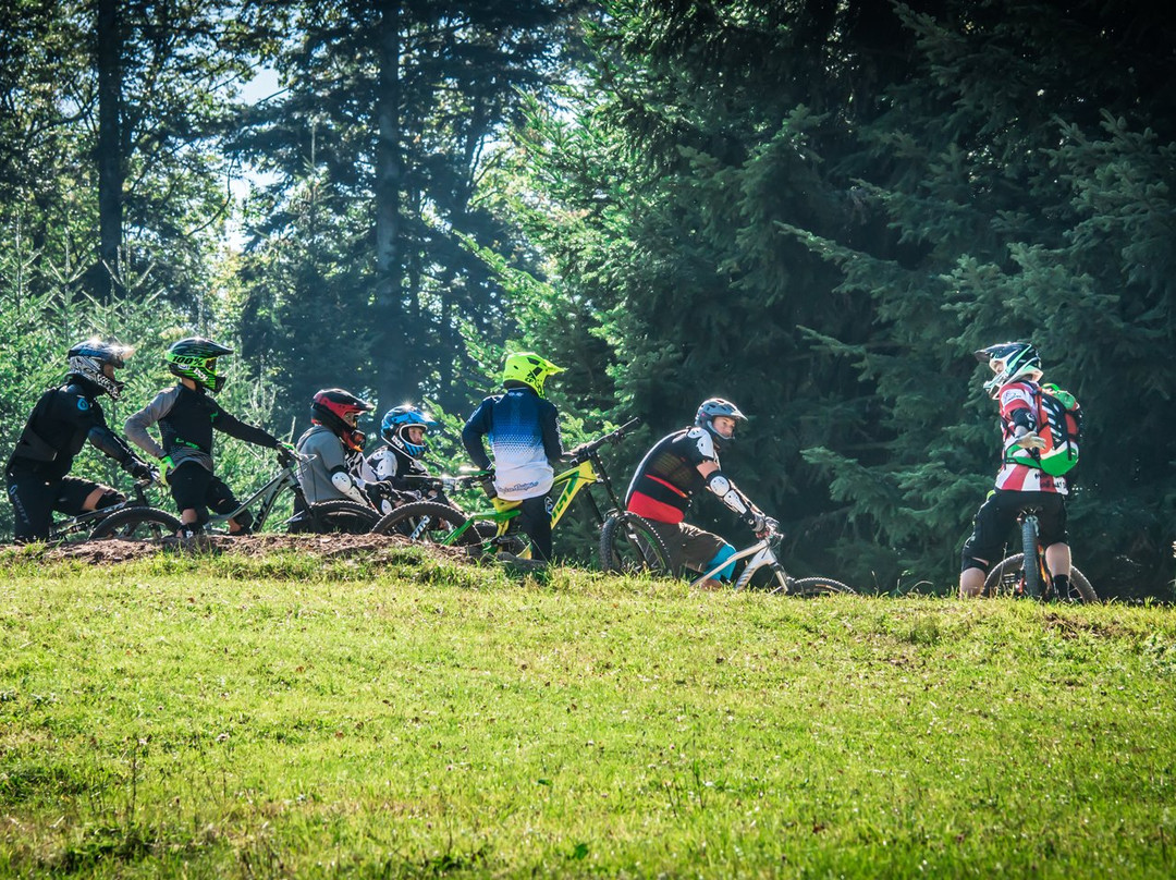 Bikepark Bad Wildbad景点图片