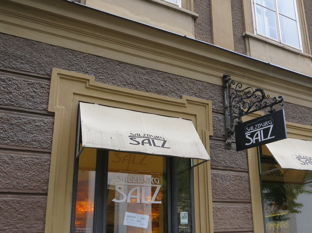 Salzburg Salz-萨尔茨堡必去景点