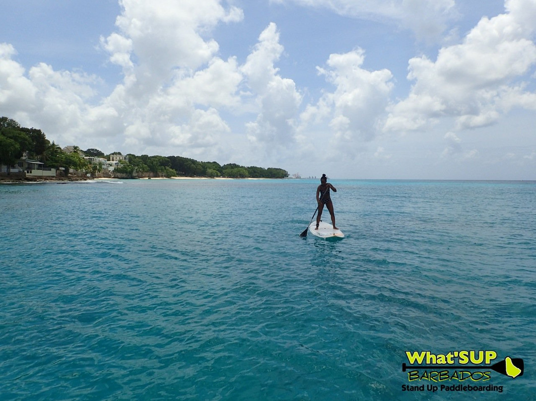 What' SUP Barbados-布里奇顿必去景点