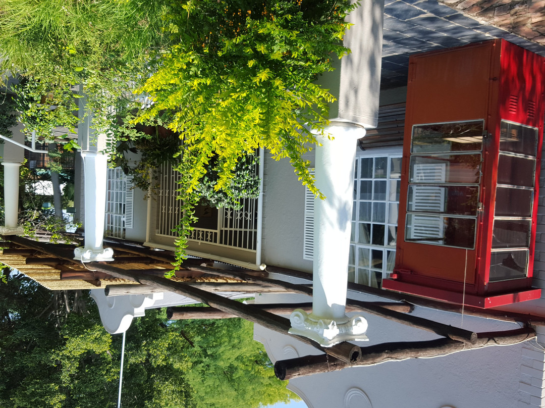 null-尼斯特鲁姆