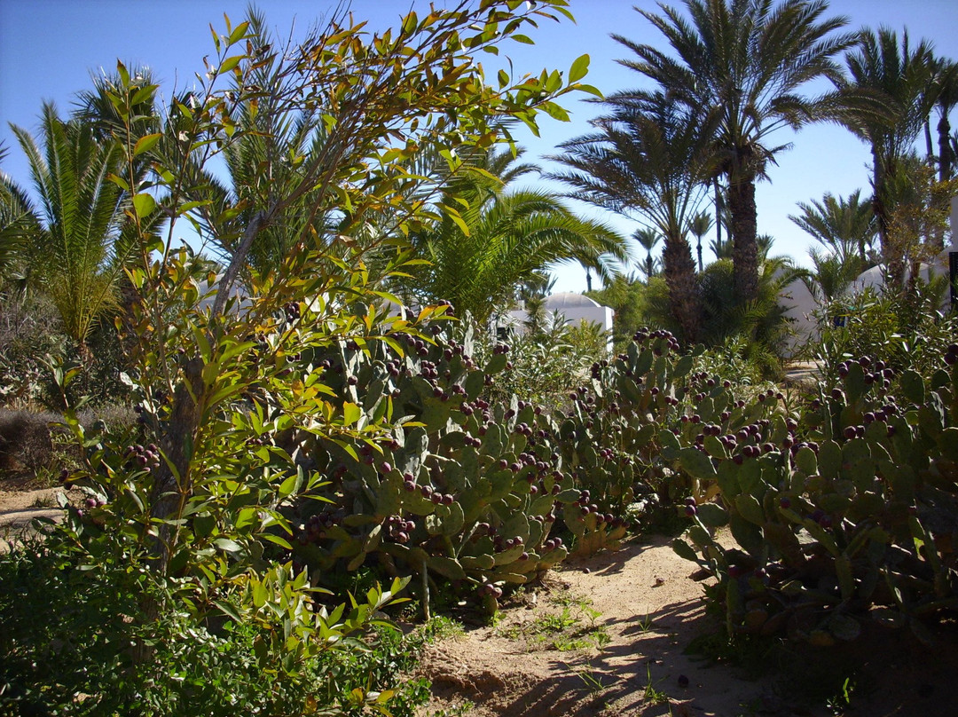 Sangho Beach-Zarzis必去景点