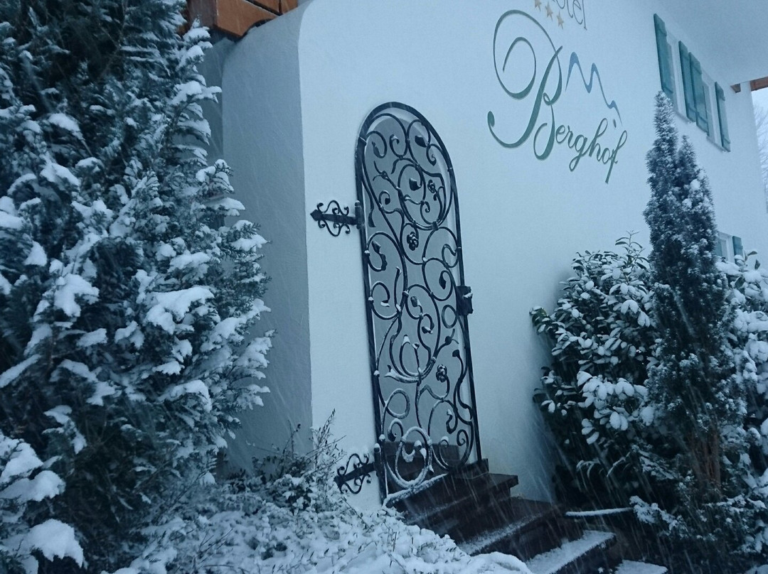 Landhotel Berghof主图