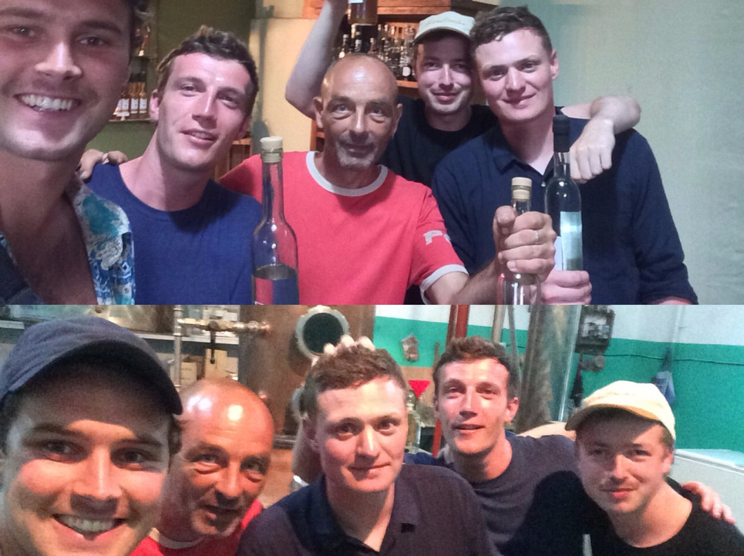 Tierra de Lobo-Coquimbito必去景点