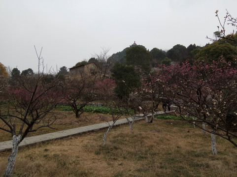 林屋洞景区-苏州市必去景点