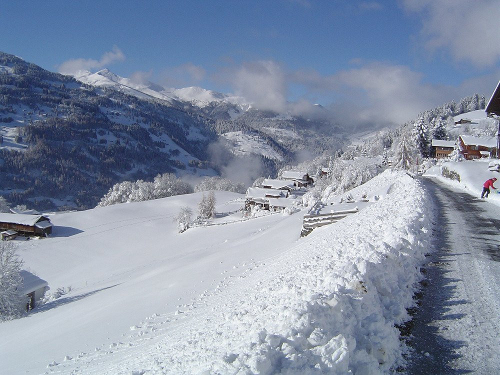 Pany旅游攻略图片