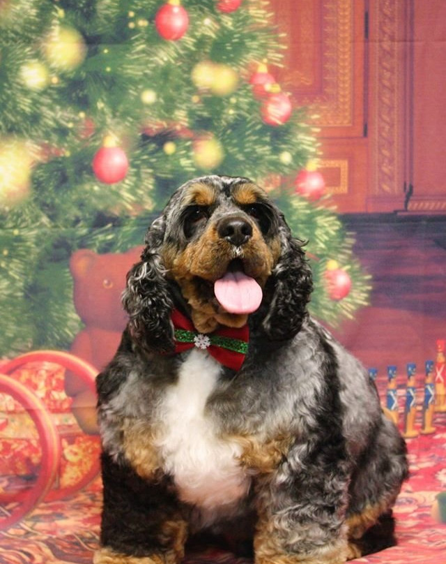 Wellston Trail-华纳罗宾斯必去景点