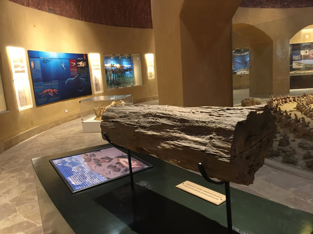 Pyramids of El Fayoum-法尤姆必去景点