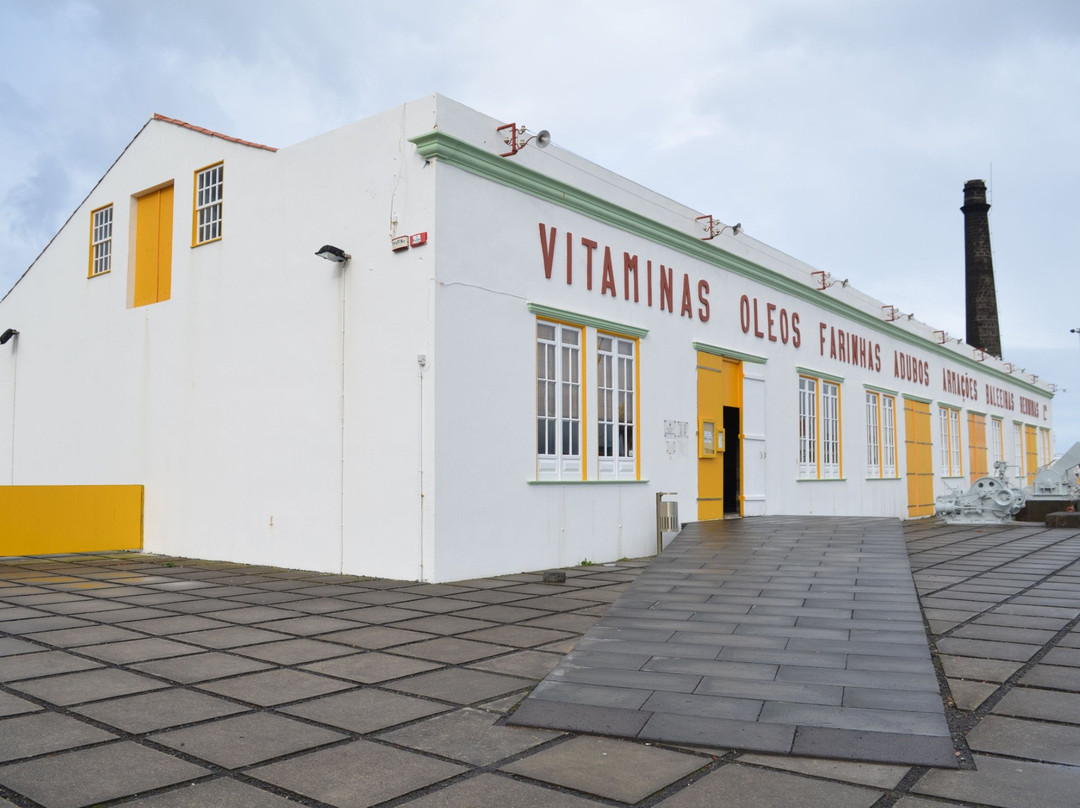 Museu da Industria Baleeira-Sao Roque do Pico必去景点