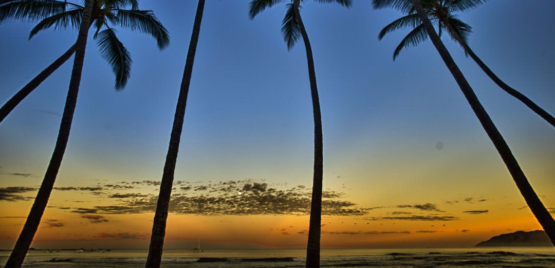 Showtime Tamarindo-塔马林多必去景点