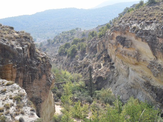 Aledo旅游攻略图片