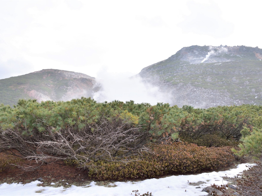 Tsutsujigahara Nature Trail-弟子屈町必去景点