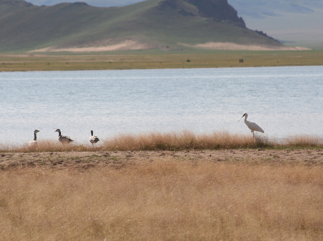 Zavkhan Province旅游攻略图片