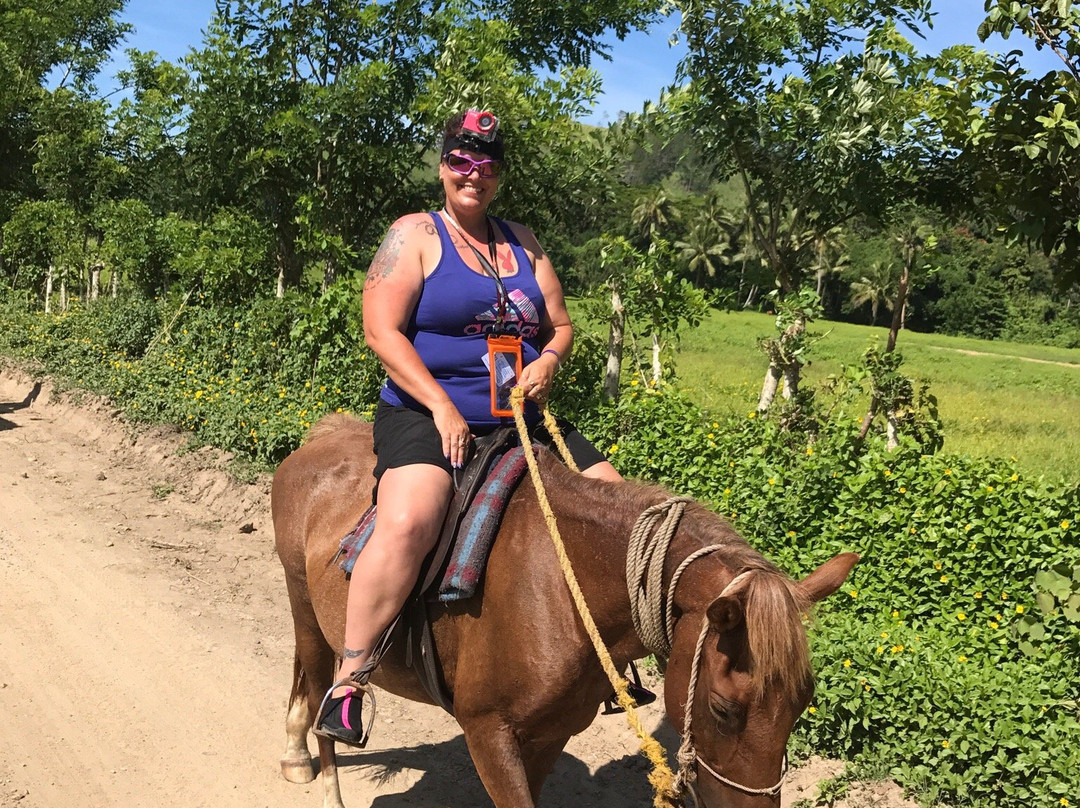 Maui Bay Horse Riding Adventure景点图片