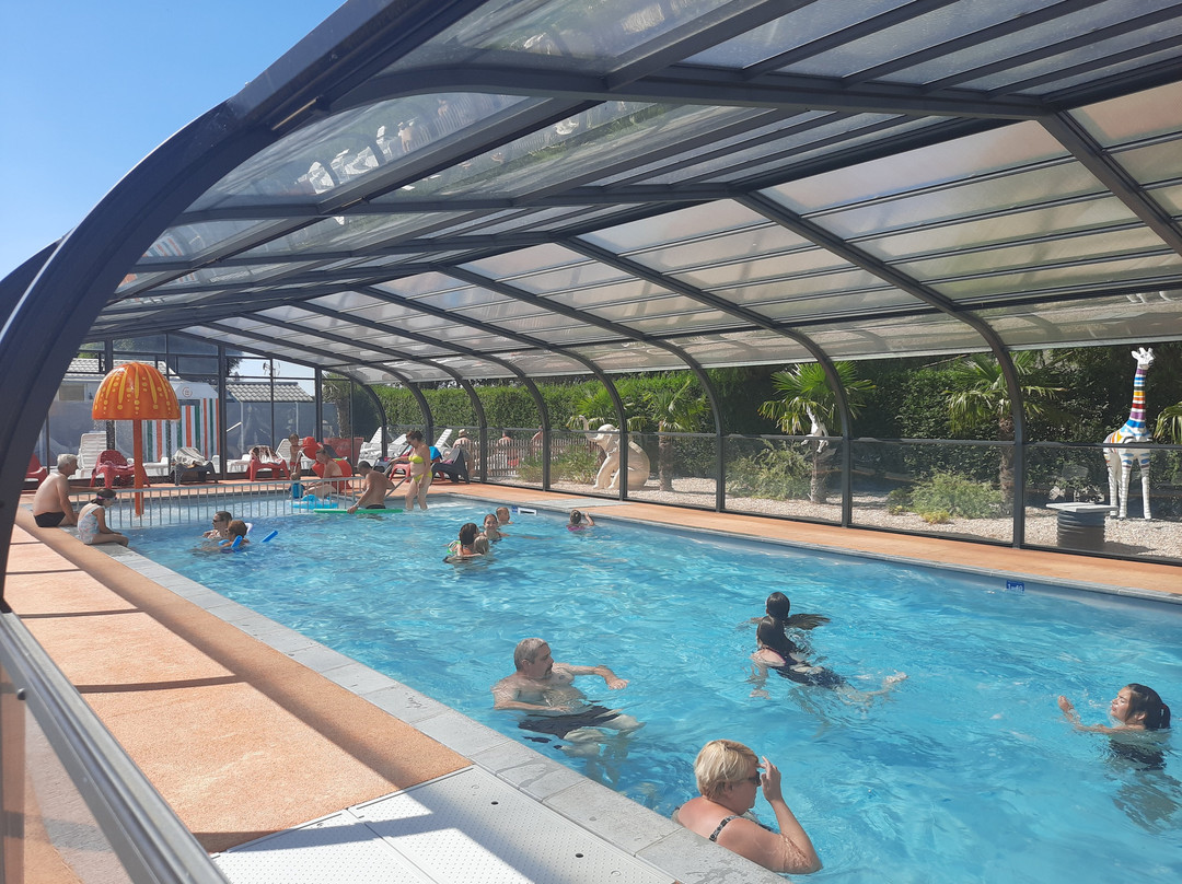 Camping Domaine Du Groene Veld