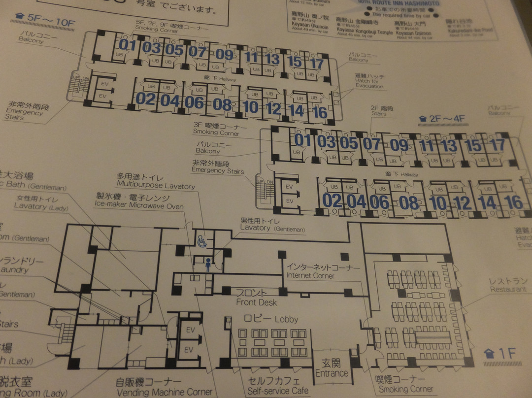 桥本路特酒店主图