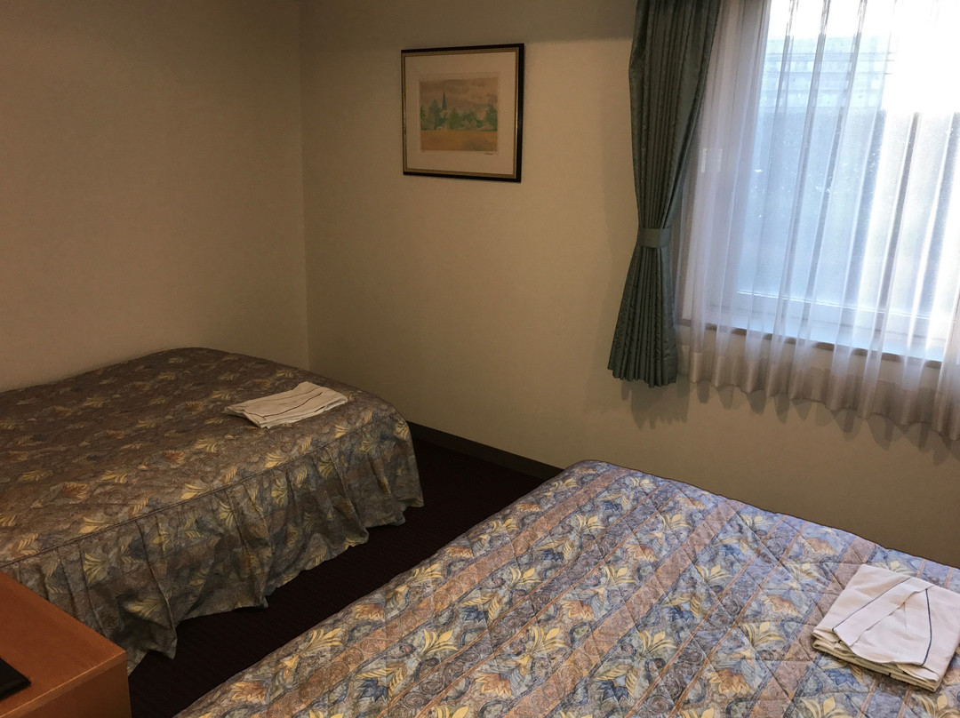 Shinsayama Hotel主图