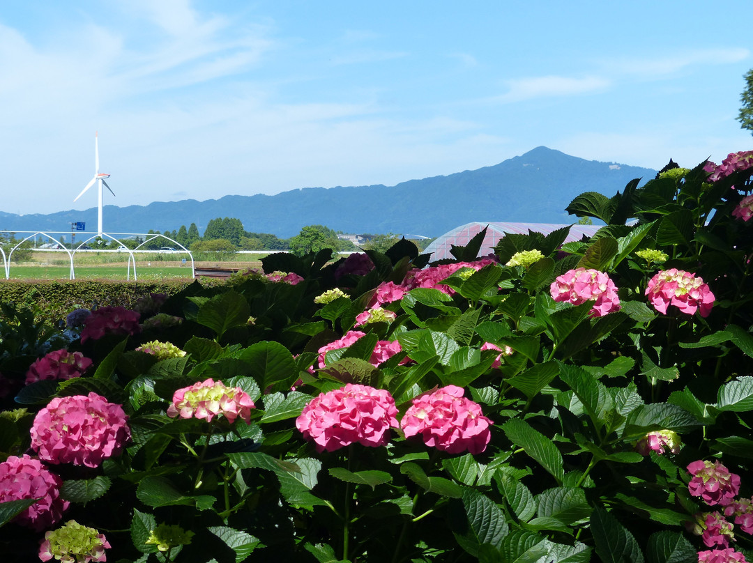 Moriyama Ashikarien Garden-守山市必去景点