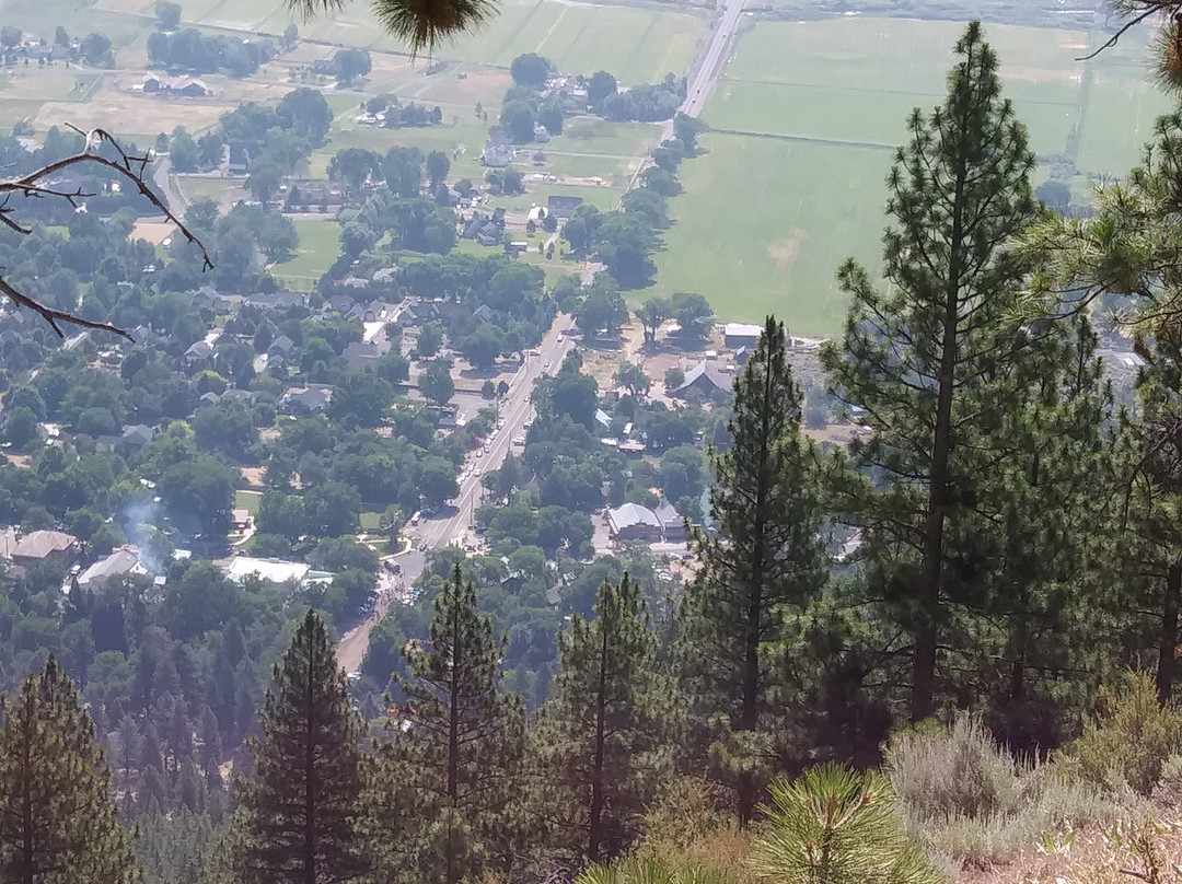 White House Inn主图