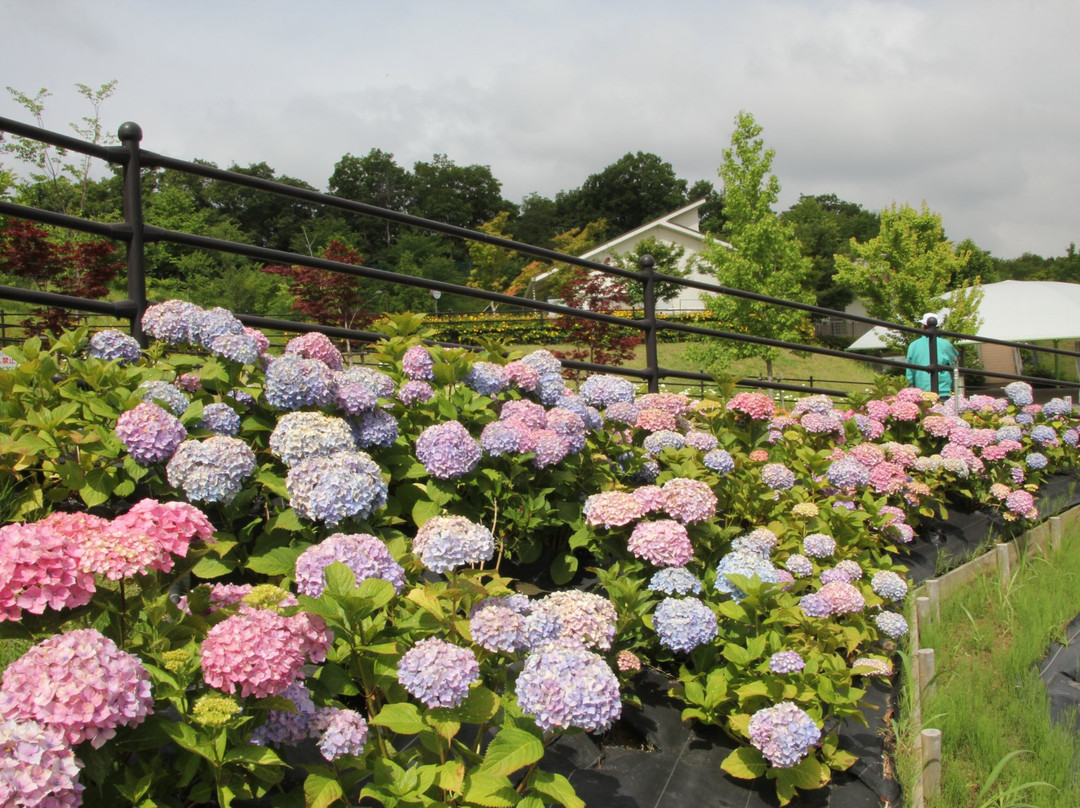 Michi no Eki Shiratorinosato Habikino-羽曳野市必去景点
